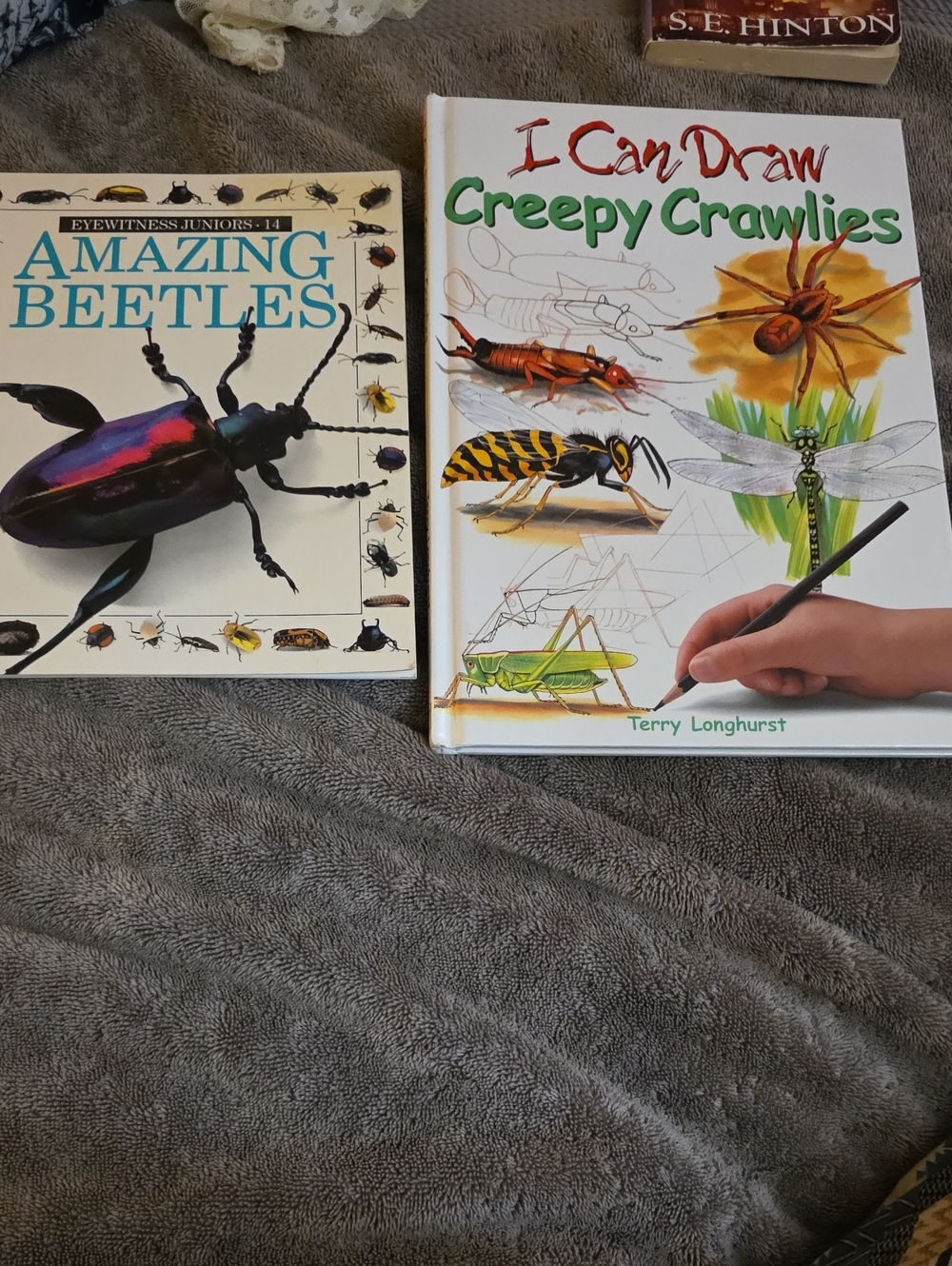 I Can Draw Creepy Crawlies Hardcover  And Amazing Beetles Book Bundle